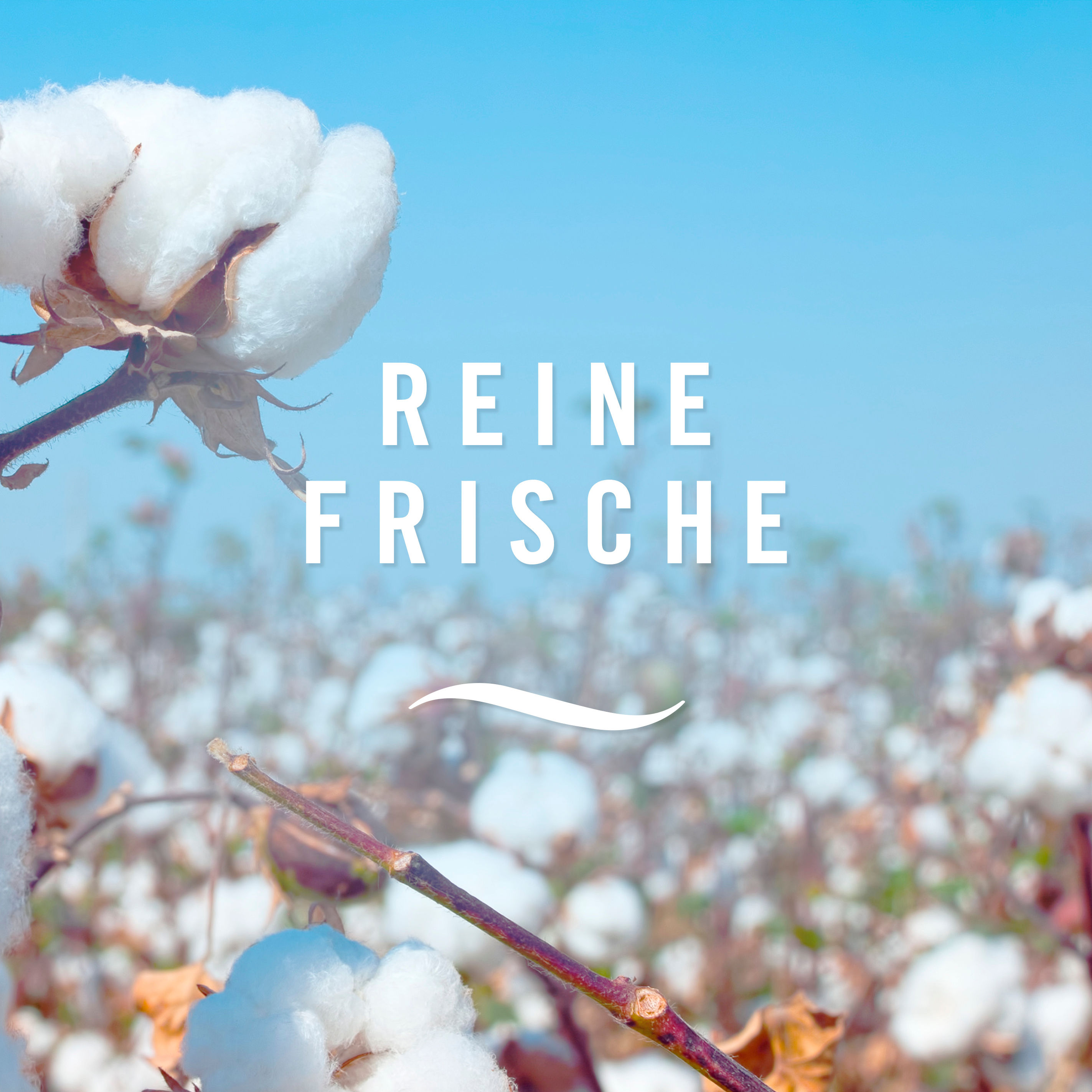 Preview: Febreze Lufterfrischer Reine Frische Duo 2x185ml
