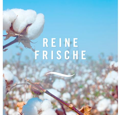 Febreze Lufterfrischer Reine Frische Duo 2x185ml
