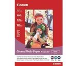 CANON Papier Fotoglanz A4 100 Blatt GP-501