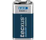 TECXUS Batterie Alkali MN1604 2022 6F22 6LR61 9V-Block 1er-Bli