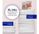 Epson SINGLEPACK MAGENTA 603XL INK