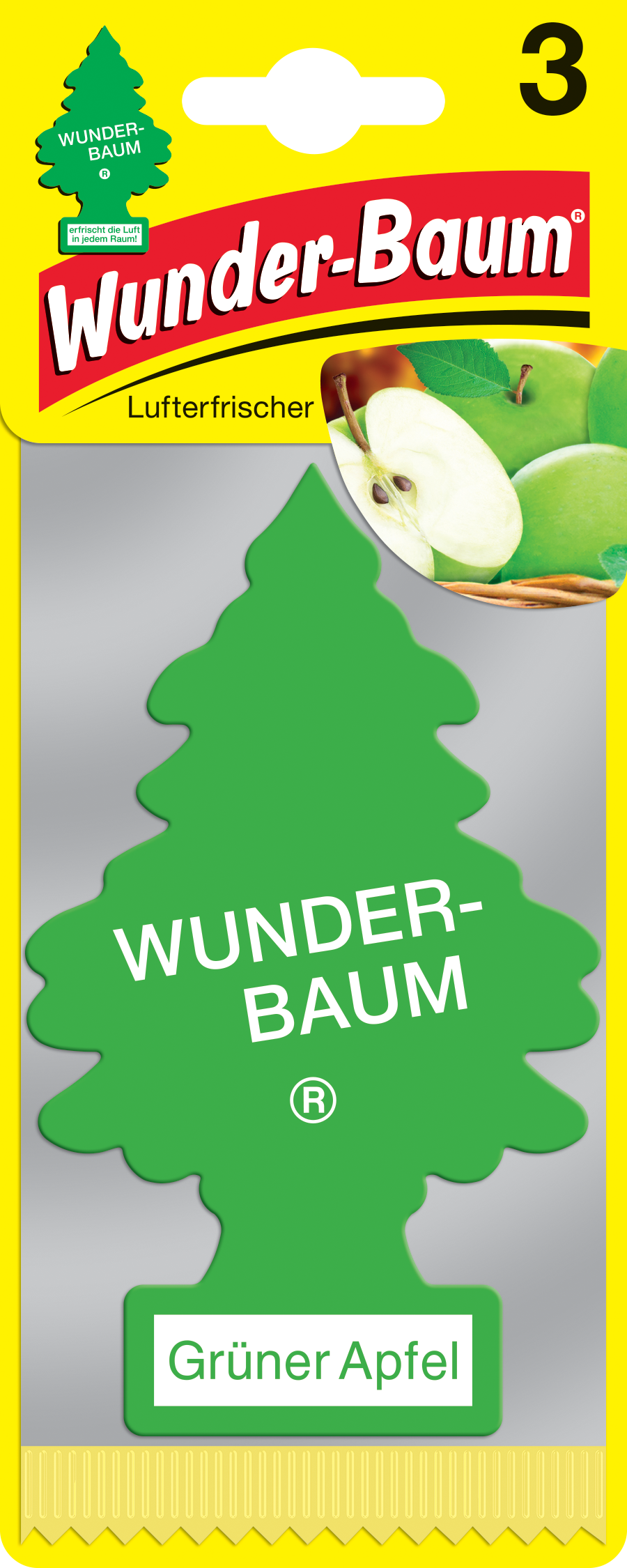 Bild 5 von 31
